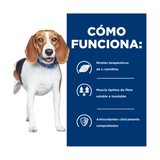 HILLS R/D CANINO