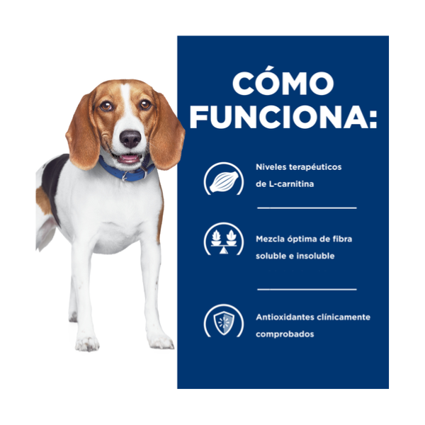 HILLS R/D CANINO
