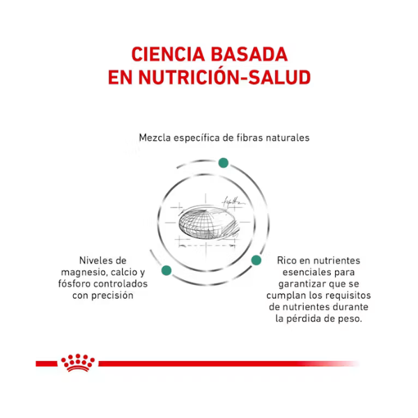 ROYAL CANIN SATIETY SUPPORT SMALL DOG