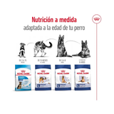 ROYAL CANIN MAXI ADULT +5 AÑOS