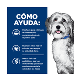 HILLS ONC CARE CANINO