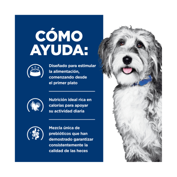 HILLS ONC CARE CANINO