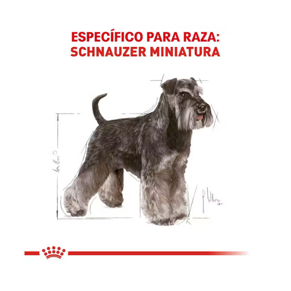 ROYAL CANIN SCHNAUZER ADULT