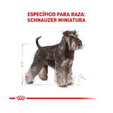 ROYAL CANIN SCHNAUZER ADULT