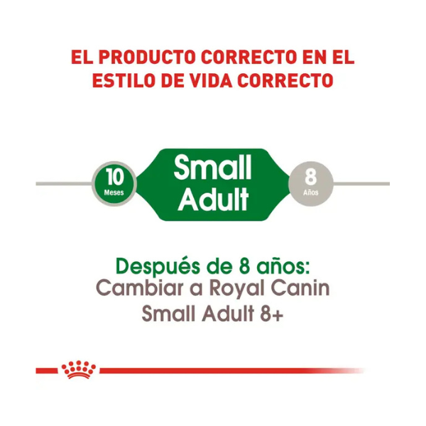 ROYAL CANIN MINI ADULT