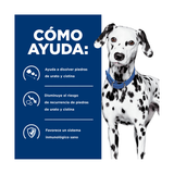 HILLS U/D CANINO DIETA Y CUIDADO URINARIO AVANZADO