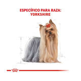 ROYAL CANIN YORKSHIRE