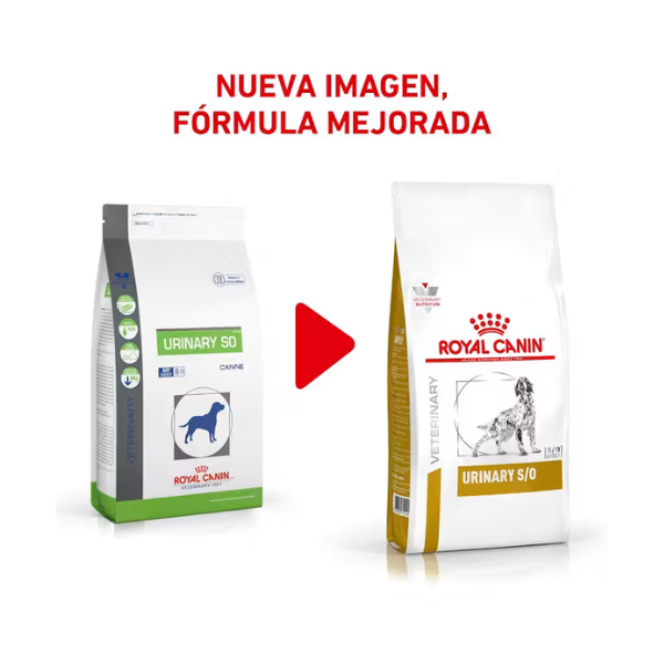 ROYAL CANIN URINARY SO CANINE