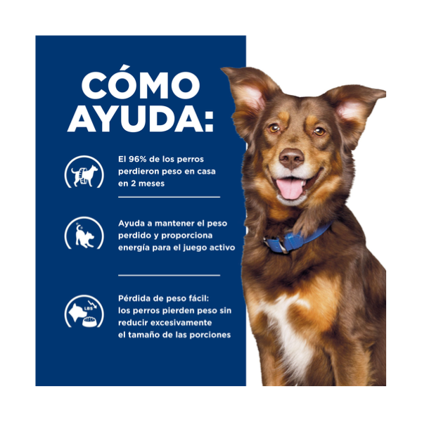 HILLS METABOLIC CANINO