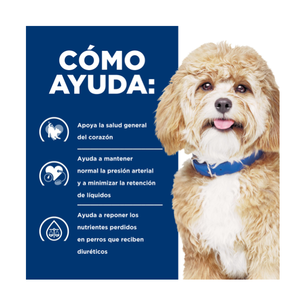 HILLS H/D CANINO