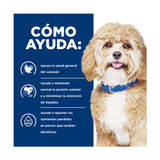 HILLS H/D CANINO