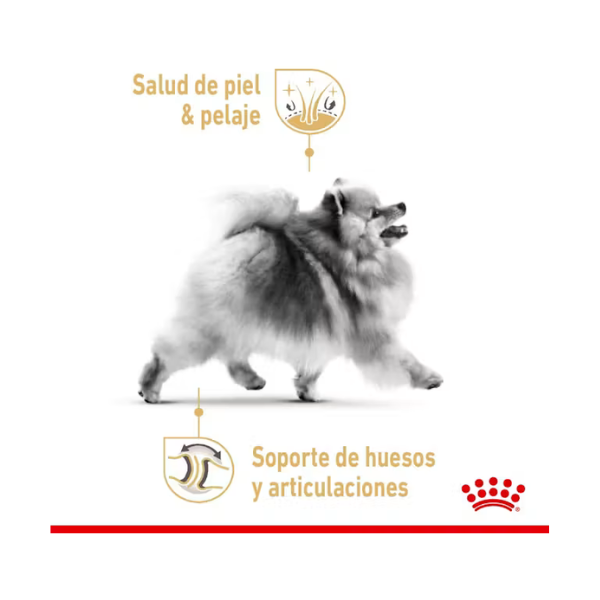 ROYAL CANIN POMERANIAN ADULT