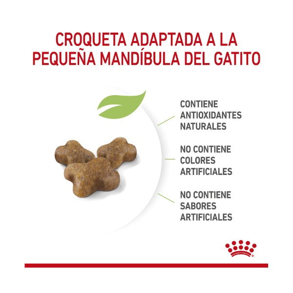 ROYAL CANIN KITTEN