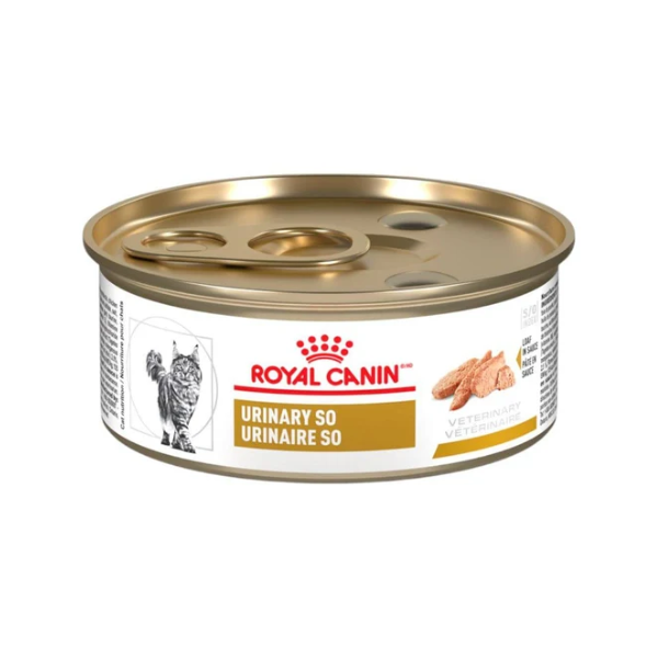 ROYAL CANIN URINARY SO FELINE LATA 145 GR