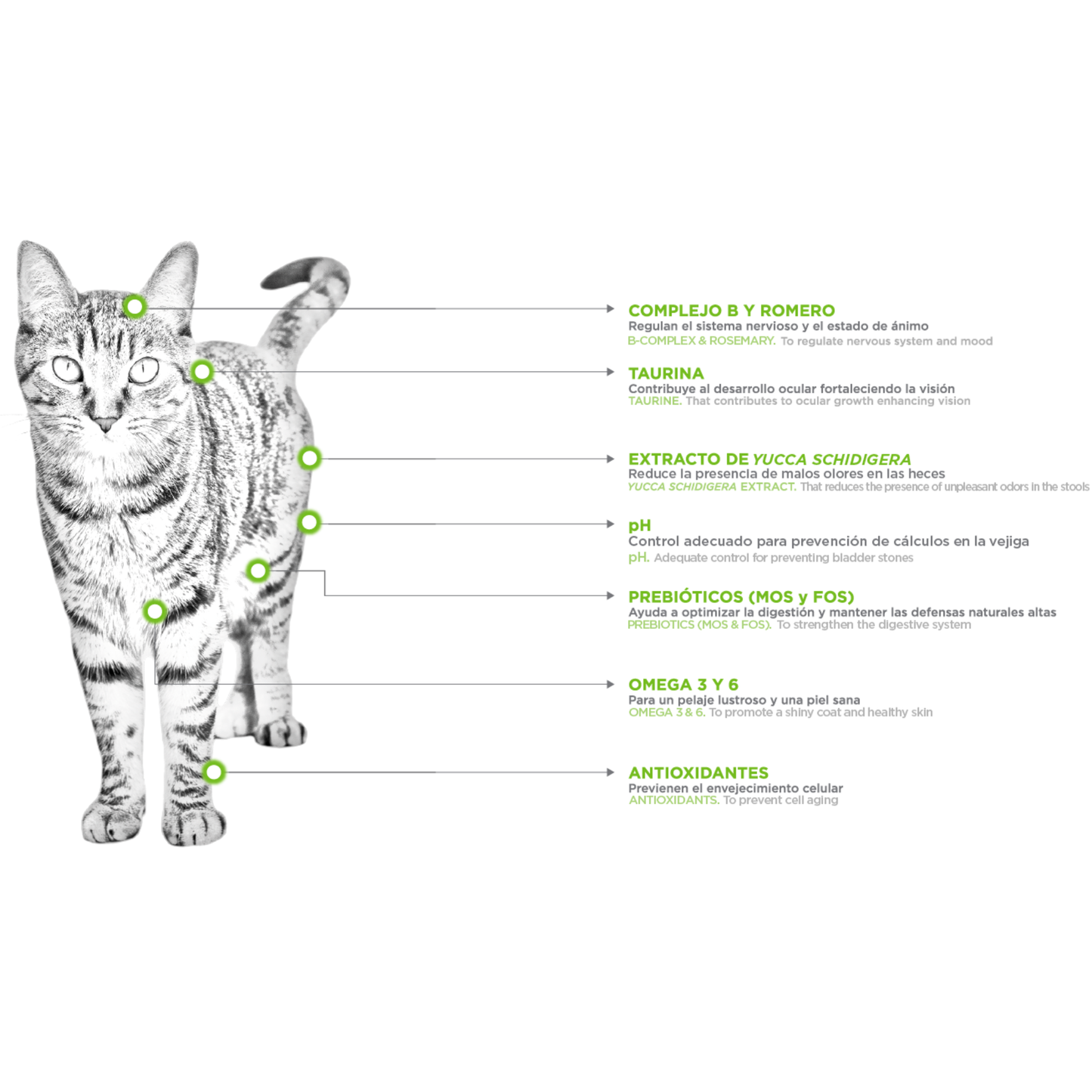 NUPEC FELINO ALIMENTO SECO