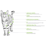 NUPEC FELINO ALIMENTO SECO