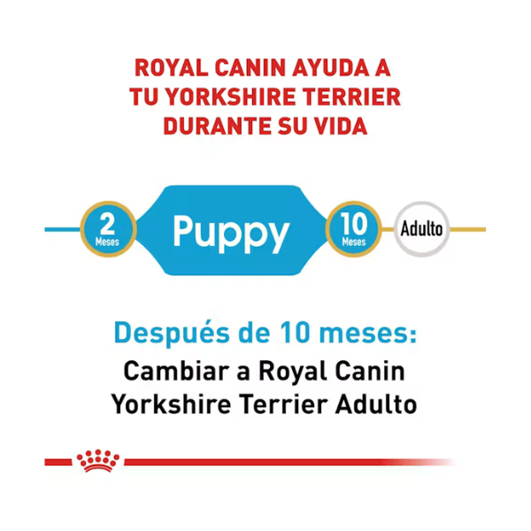 ROYAL CANIN YORKSHIRE PUPPY