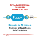 ROYAL CANIN SHIH TZU PUPPY