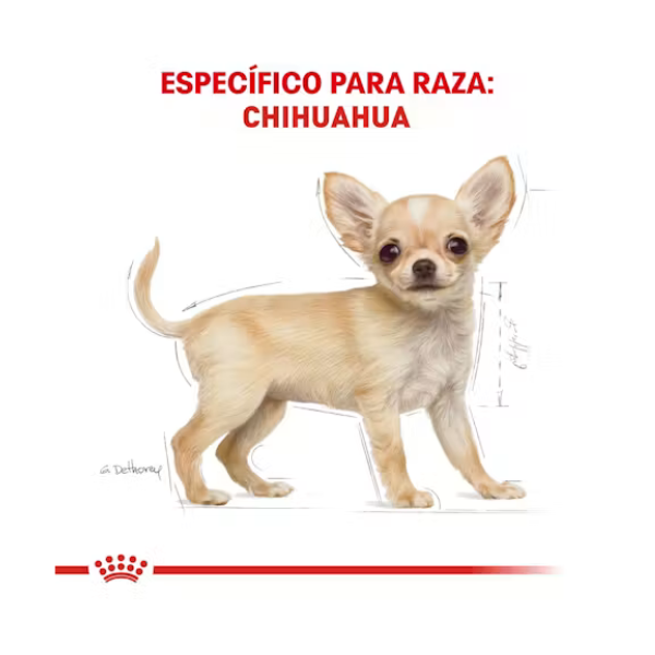 ROYAL CANIN CHIHUAHUA PUPPY