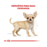 ROYAL CANIN CHIHUAHUA PUPPY
