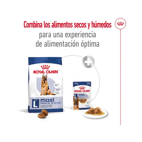 ROYAL CANIN MAXI ADULT +5 AÑOS