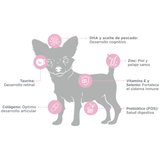 NUPEC CACHORRO ALIMENTO SECO RAZAS MINI