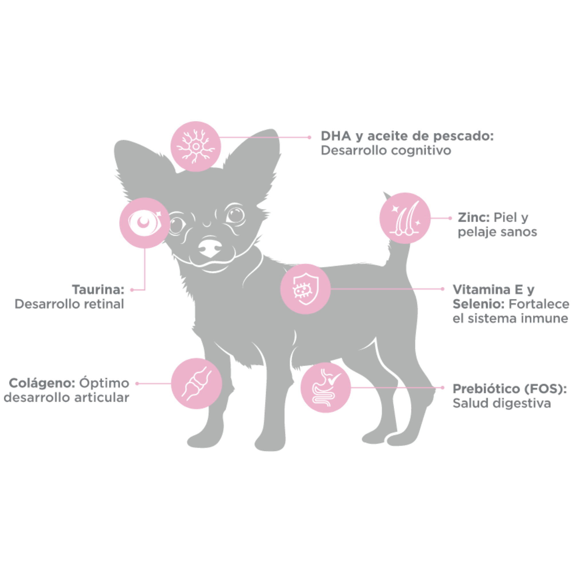 NUPEC CACHORRO ALIMENTO SECO RAZAS MINI