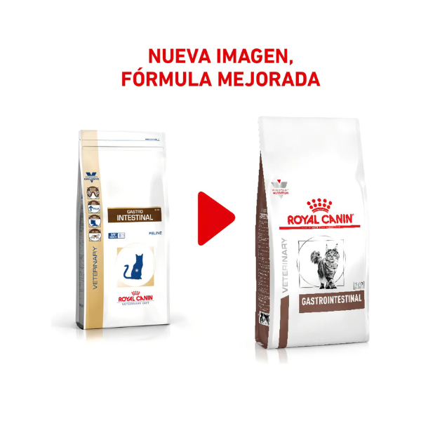 ROYAL CANIN GASTRO HIGH ENERGY FELINE