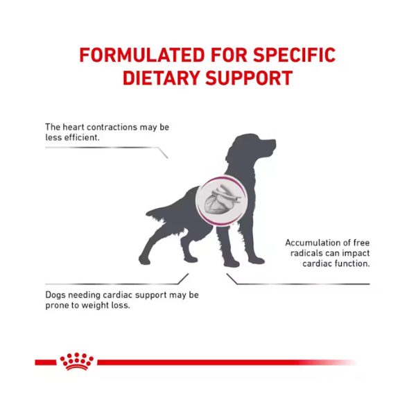ROYAL CANIN RENAL SUPPORT D LATA 385 GR