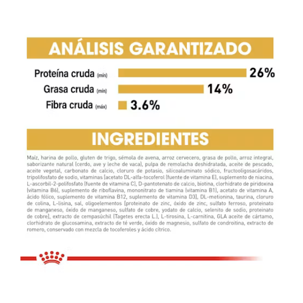 ROYAL CANIN CHIHUAHUA ADULT