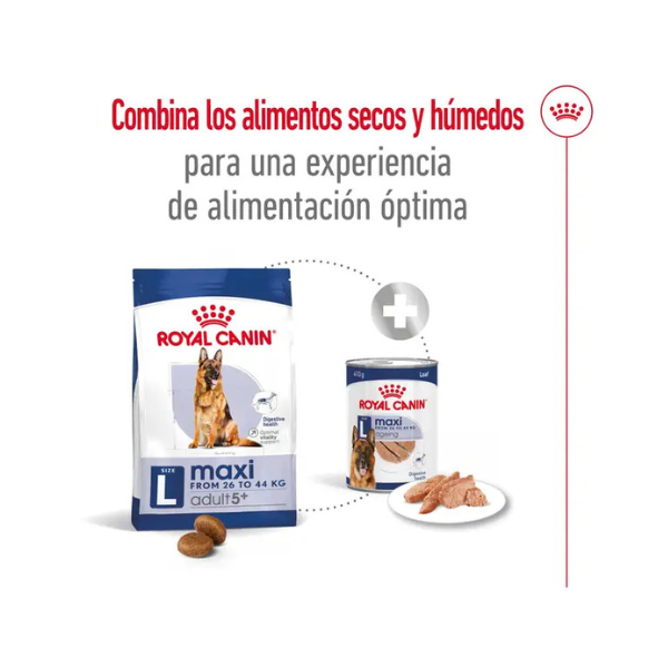ROYAL CANIN MAXI ADULT +5 AÑOS