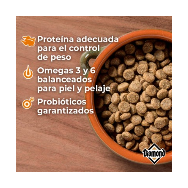 DIAMOND MAINTENANCE CANINO