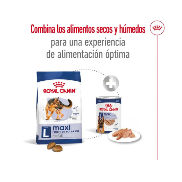 ROYAL CANIN MAXI ADULT