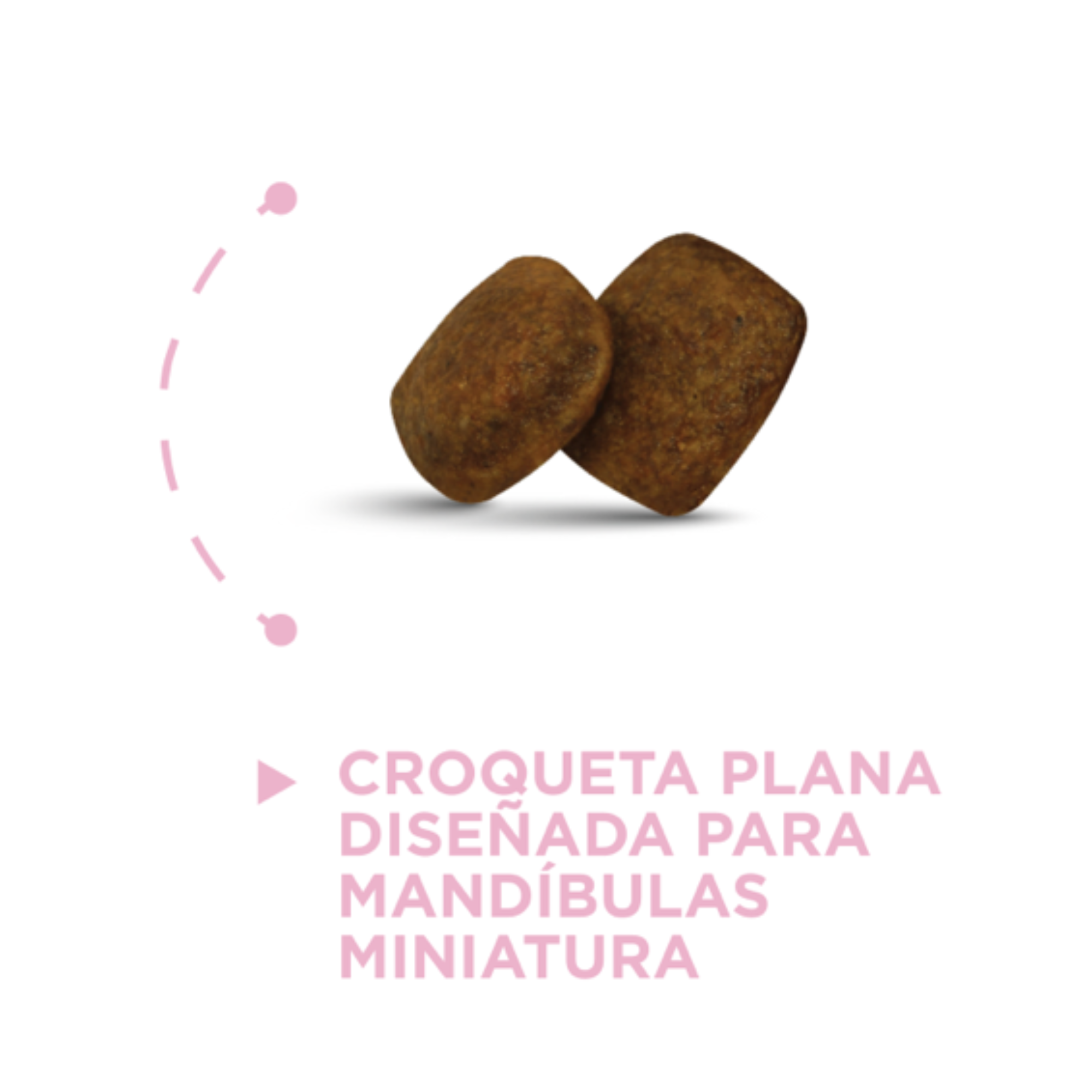 NUPEC CACHORRO ALIMENTO SECO RAZAS MINI