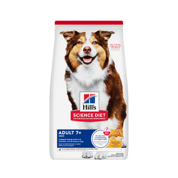 HILLS ADULTO 7+