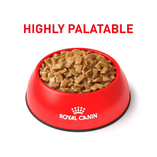 ROYAL CANIN RENAL SUPPORT D LATA 385 GR