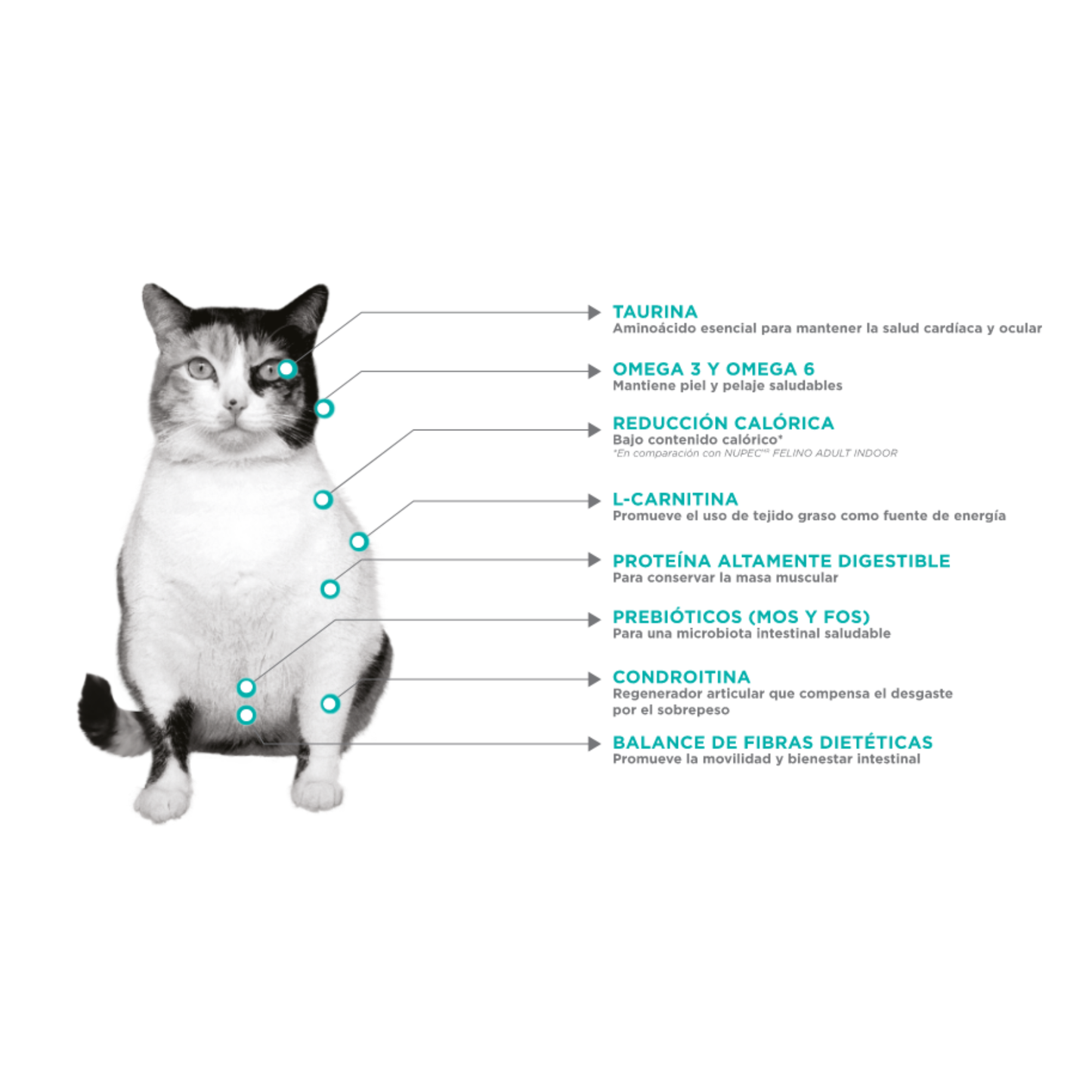 NUPEC FELINO WEIGHT CARE