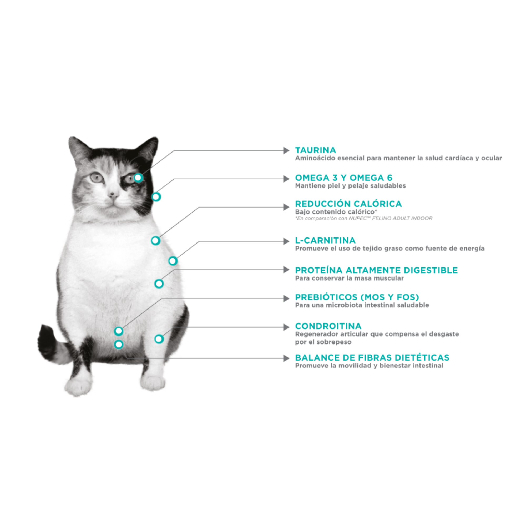 NUPEC FELINO WEIGHT CARE