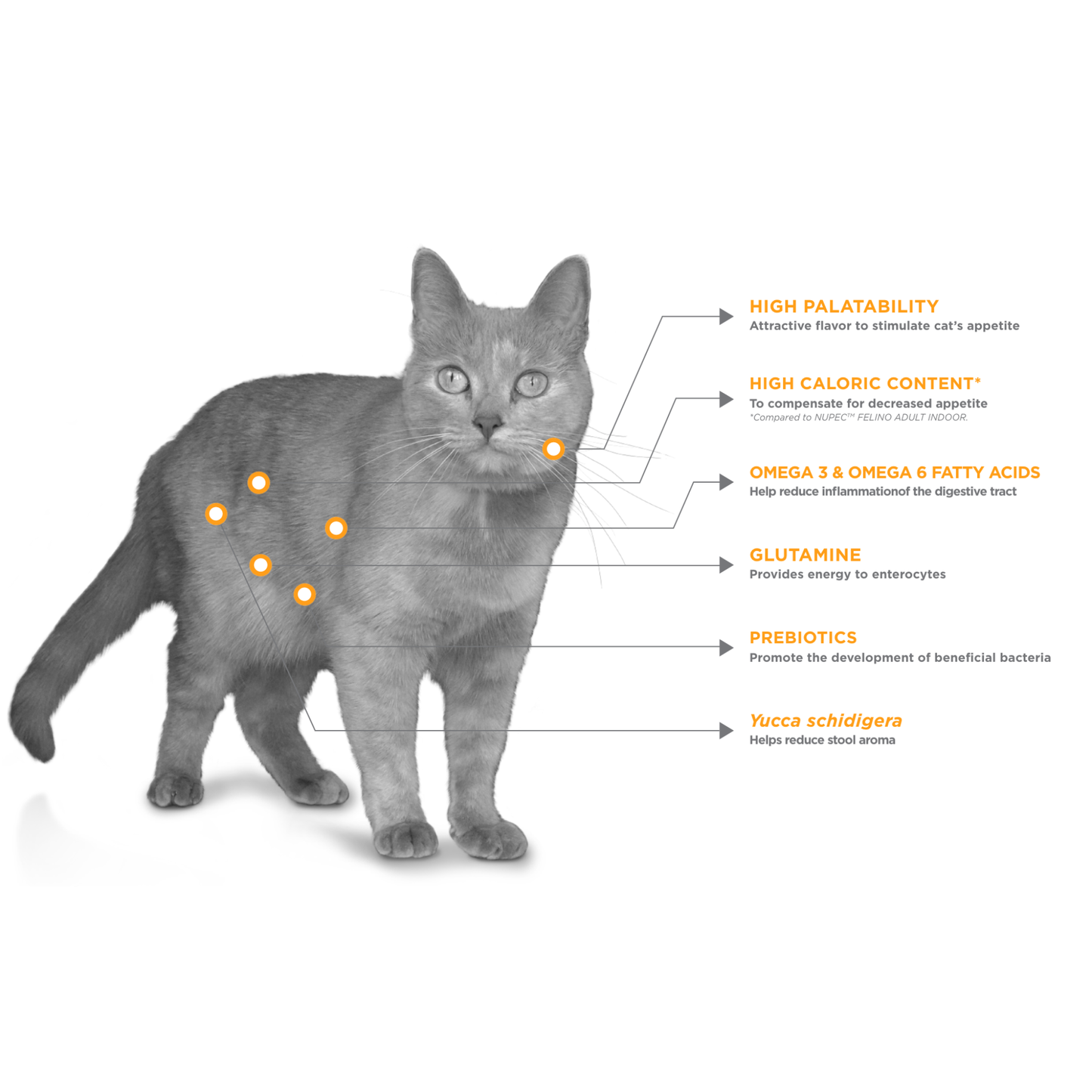 NUPEC FELINO DIGESTIVE - ESPECIALIDAD CUIDADO DIGESTIVO