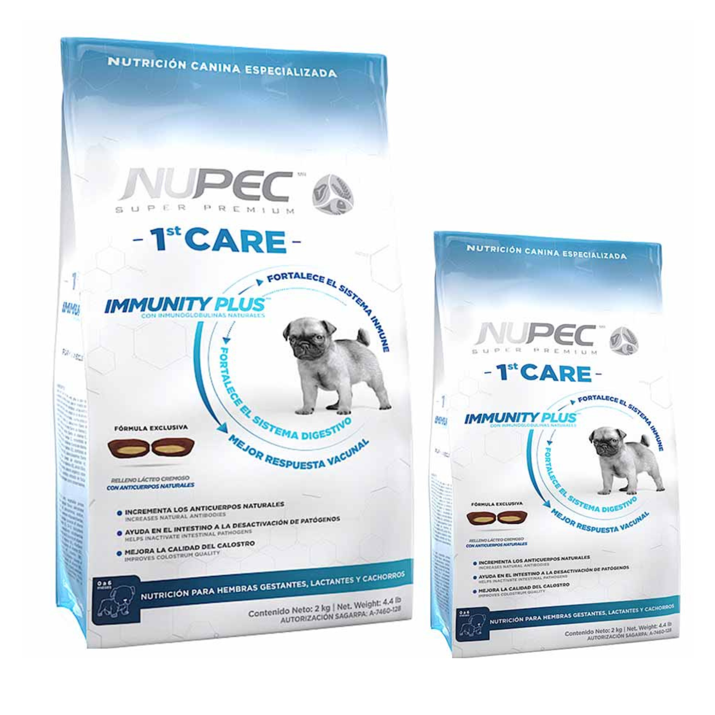 NUPEC FIRST CARE