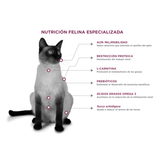 NUPEC FELINO RENAL CARE
