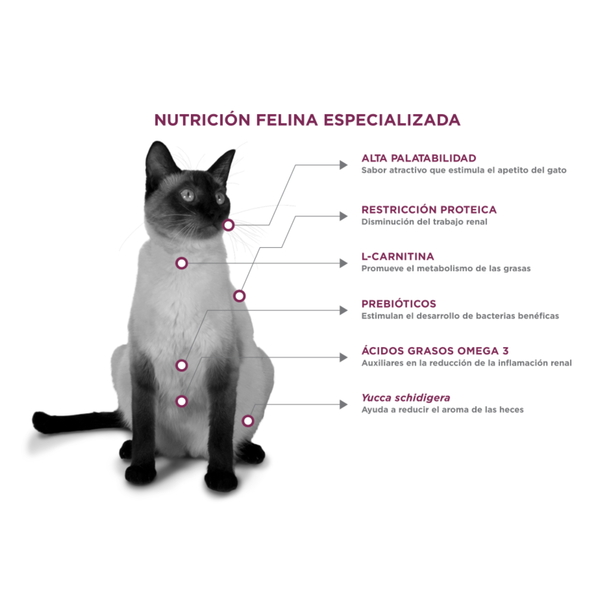 NUPEC FELINO RENAL CARE