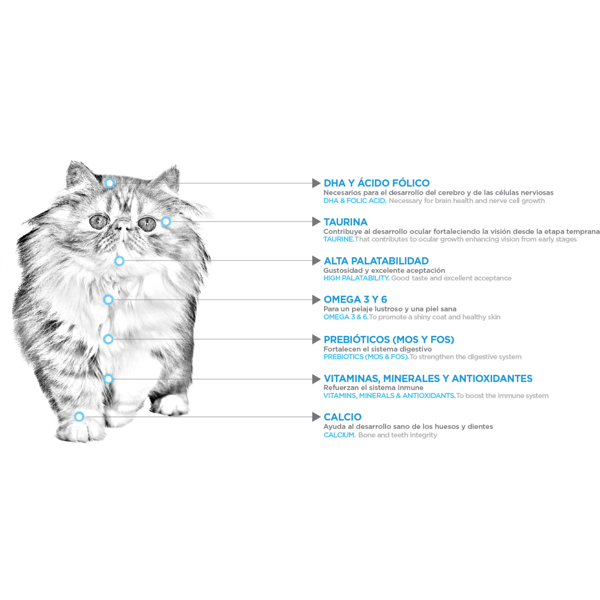 NUPEC FELINO KITTEN ALIMENTO SECO