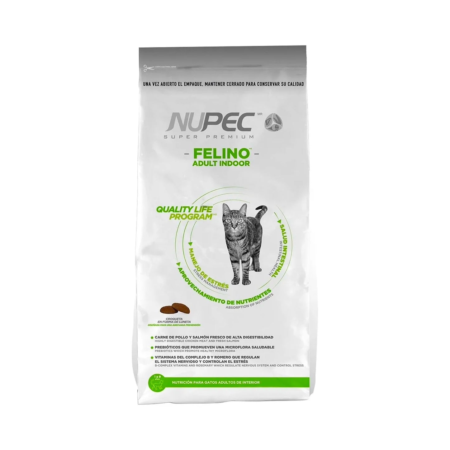 Felino Adulto Indoor