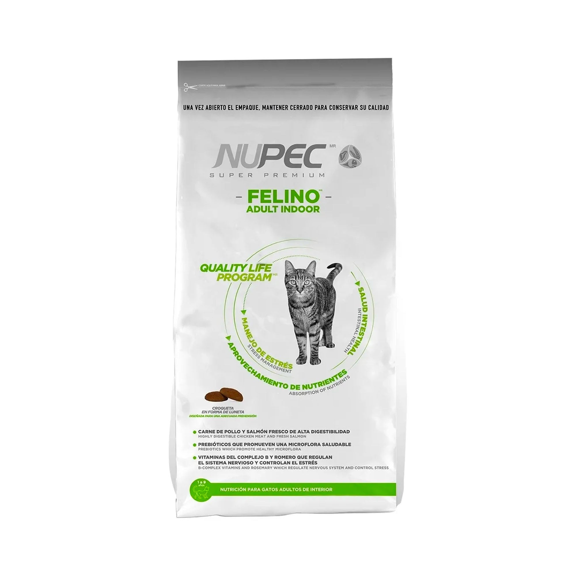 Felino Adulto Indoor